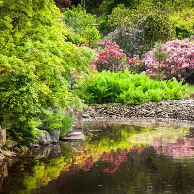 Ein kleiner See oder Teich wirkt im Garten harmonisch