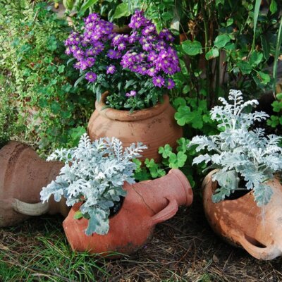 Dekorative Tongefäße für natürliche Bepflanzung im Garten