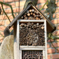 Insektenhotel im Baum