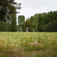 hecke_schneiden_park