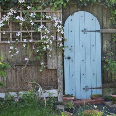 Romantische Holztür mit von Clematis beranktem Gitter