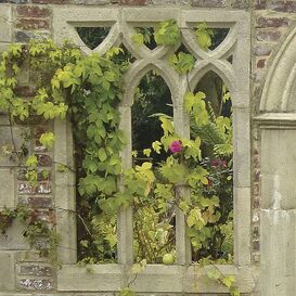 Gotisches Fenster fr Mauerruine - Heawood
